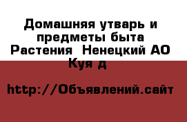 Домашняя утварь и предметы быта Растения. Ненецкий АО,Куя д.